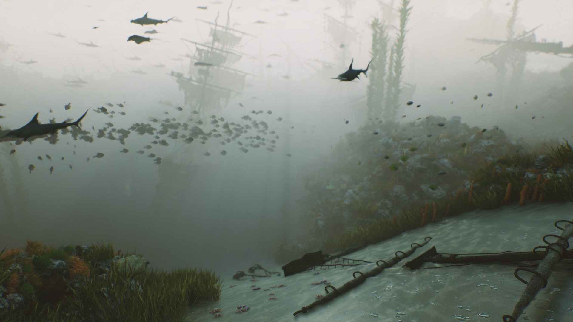 海底植物石头鱼类潜水员沉船场景3D模型UE设计素材 Bay Submerged Ships 样机素材 第14张-素材湾丨精选海外优质设计素材资源 海底植物石头鱼类潜水员沉船场景3D模型UE设计素材 Bay Submerged Ships 样机素材 sucaiwan.com