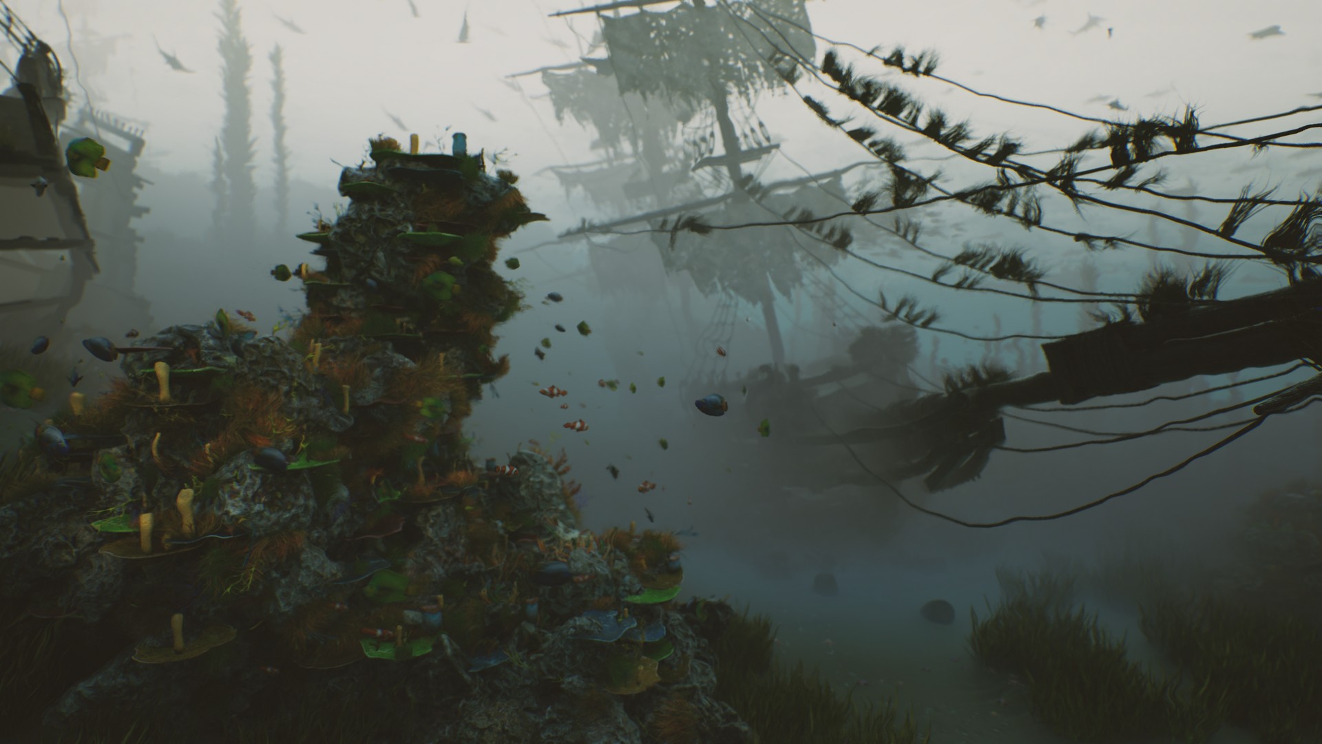 海底植物石头鱼类潜水员沉船场景3D模型UE设计素材 Bay Submerged Ships 样机素材 第15张-素材湾丨精选海外优质设计素材资源 海底植物石头鱼类潜水员沉船场景3D模型UE设计素材 Bay Submerged Ships 样机素材 sucaiwan.com