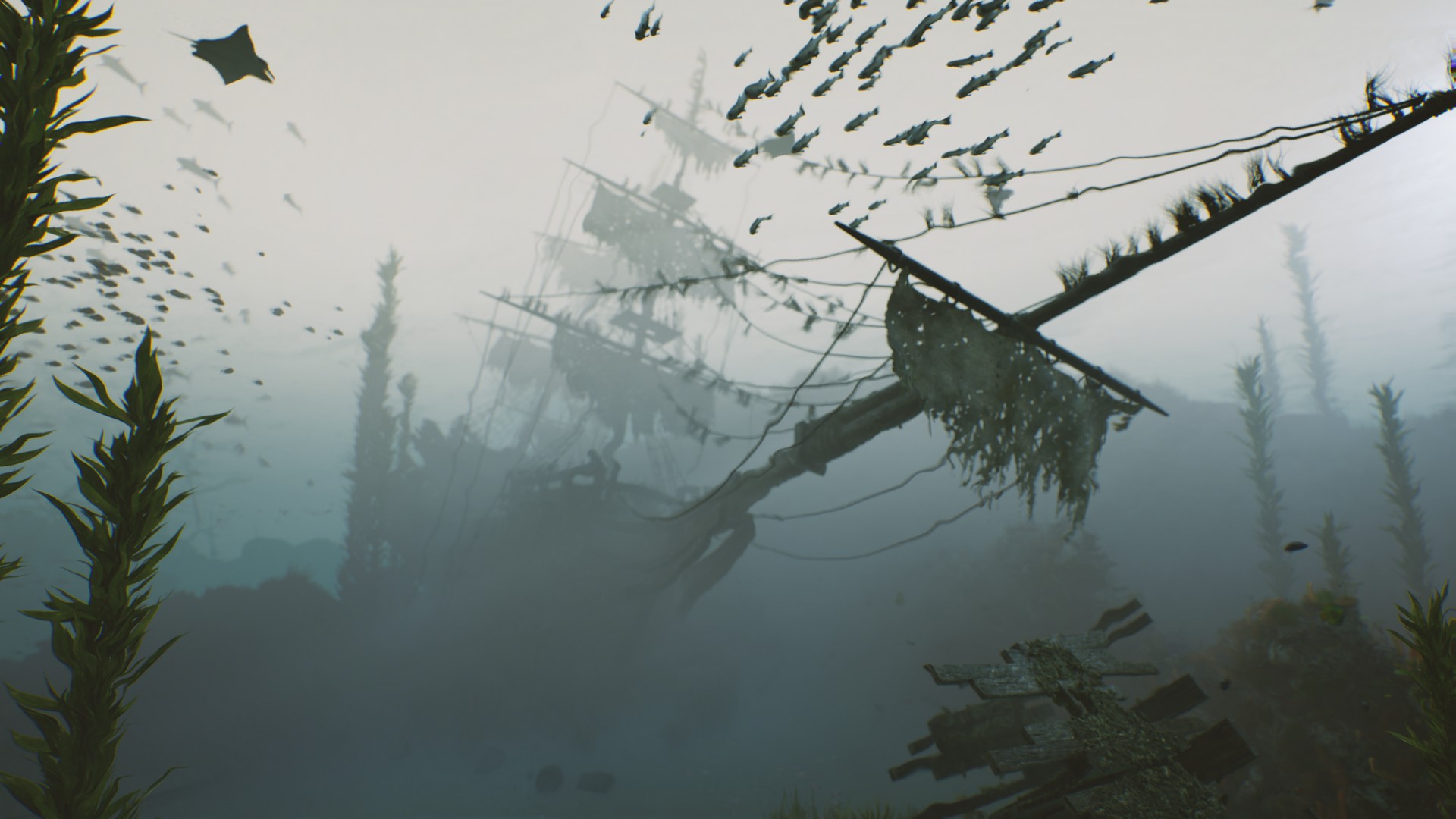 海底植物石头鱼类潜水员沉船场景3D模型UE设计素材 Bay Submerged Ships 样机素材 第16张-素材湾丨精选海外优质设计素材资源 海底植物石头鱼类潜水员沉船场景3D模型UE设计素材 Bay Submerged Ships 样机素材 sucaiwan.com