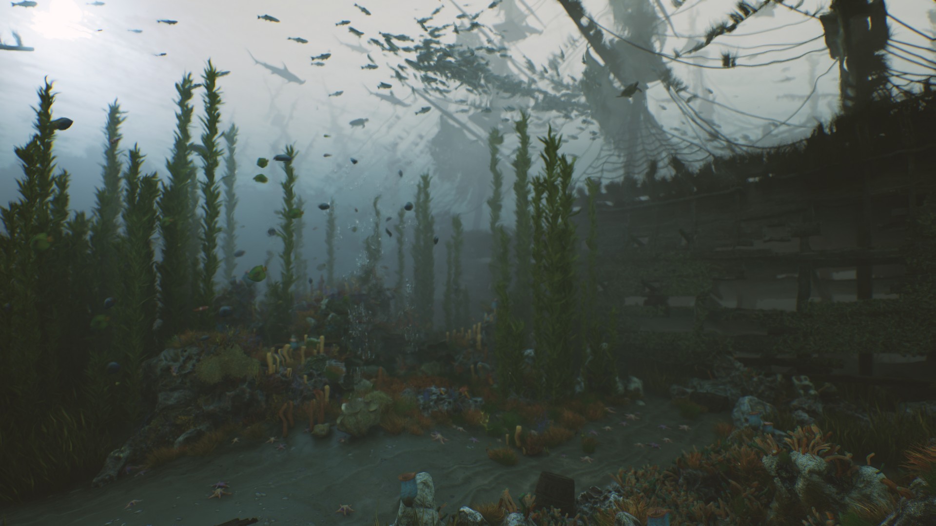 海底植物石头鱼类潜水员沉船场景3D模型UE设计素材 Bay Submerged Ships 样机素材 第17张-素材湾丨精选海外优质设计素材资源 海底植物石头鱼类潜水员沉船场景3D模型UE设计素材 Bay Submerged Ships 样机素材 sucaiwan.com