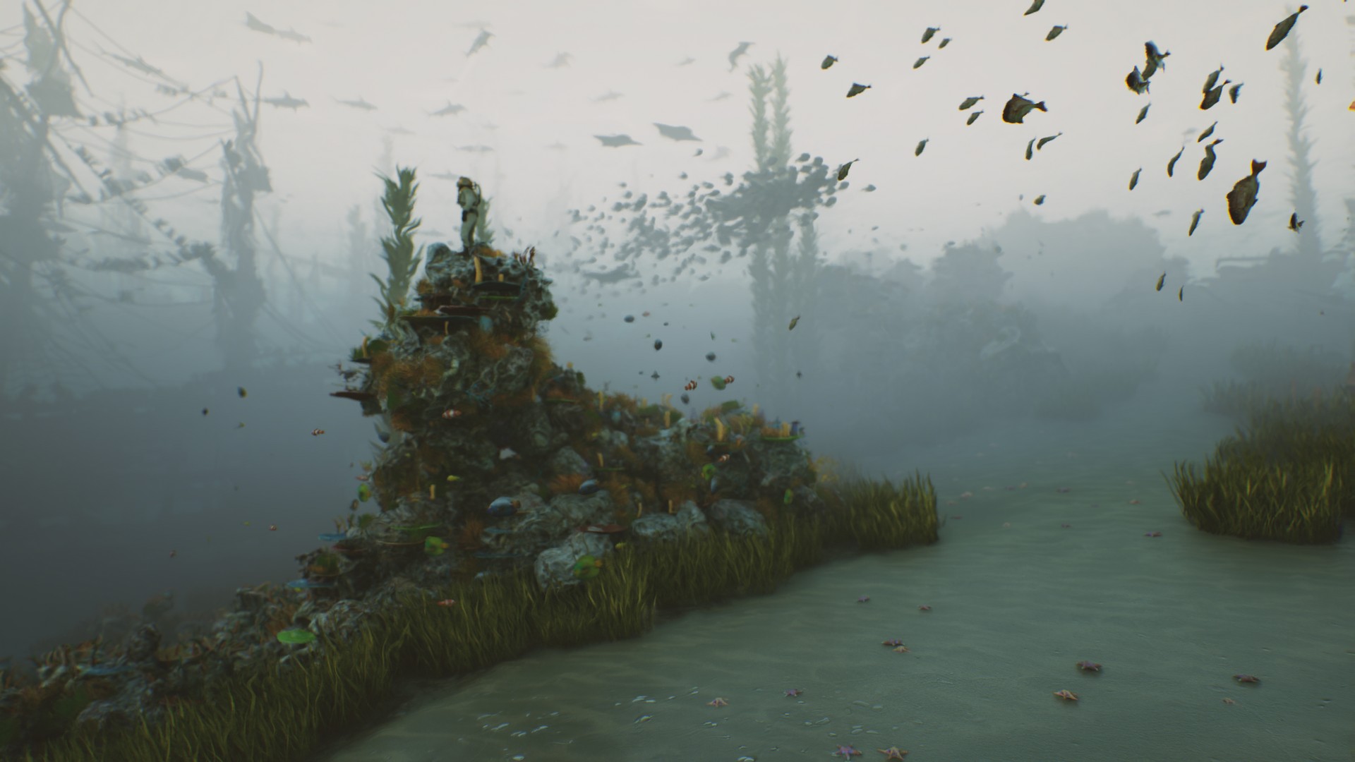 海底植物石头鱼类潜水员沉船场景3D模型UE设计素材 Bay Submerged Ships 样机素材 第18张-素材湾丨精选海外优质设计素材资源 海底植物石头鱼类潜水员沉船场景3D模型UE设计素材 Bay Submerged Ships 样机素材 sucaiwan.com