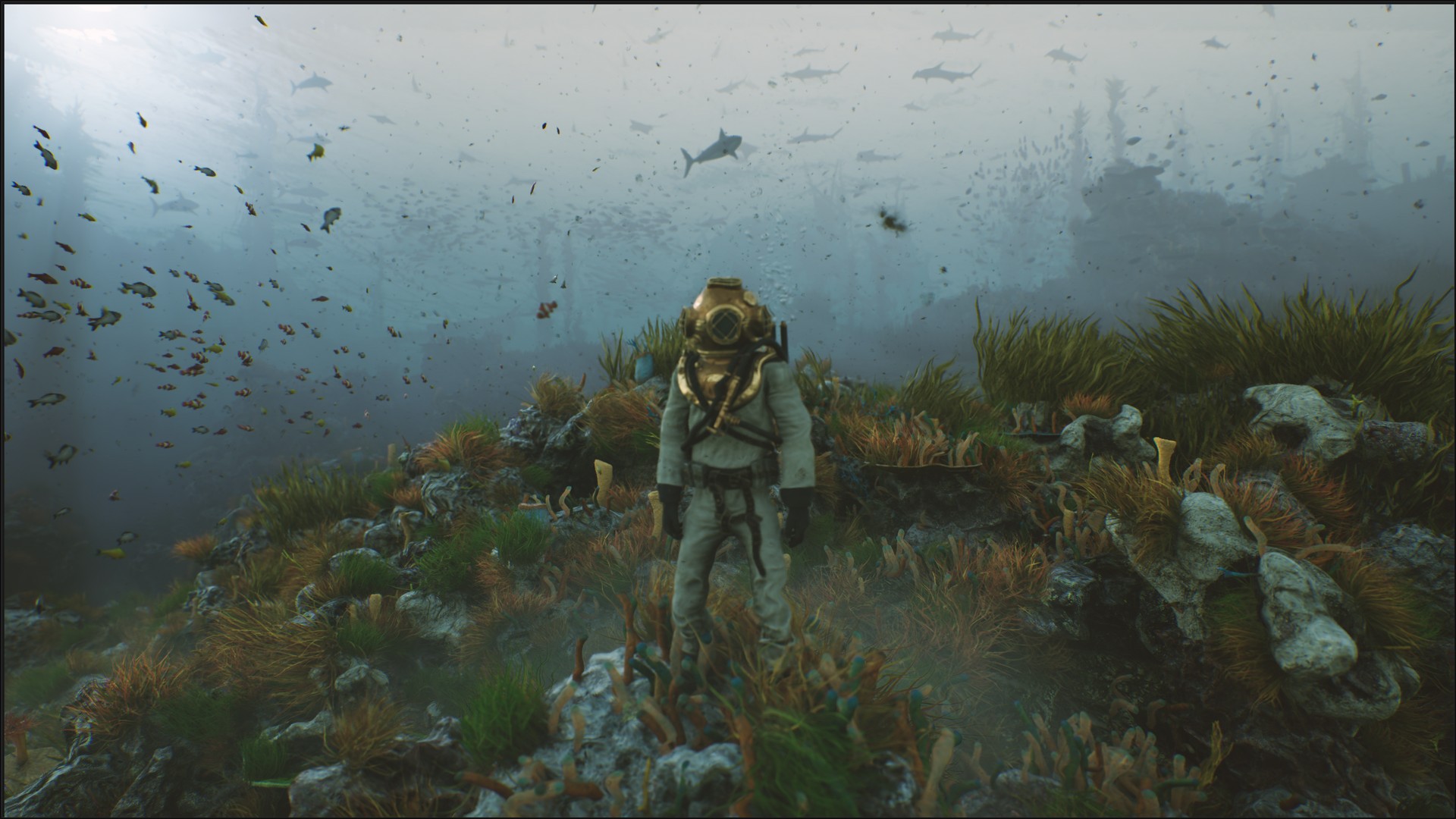 海底植物石头鱼类潜水员沉船场景3D模型UE设计素材 Bay Submerged Ships 样机素材 第21张-素材湾丨精选海外优质设计素材资源 海底植物石头鱼类潜水员沉船场景3D模型UE设计素材 Bay Submerged Ships 样机素材 sucaiwan.com