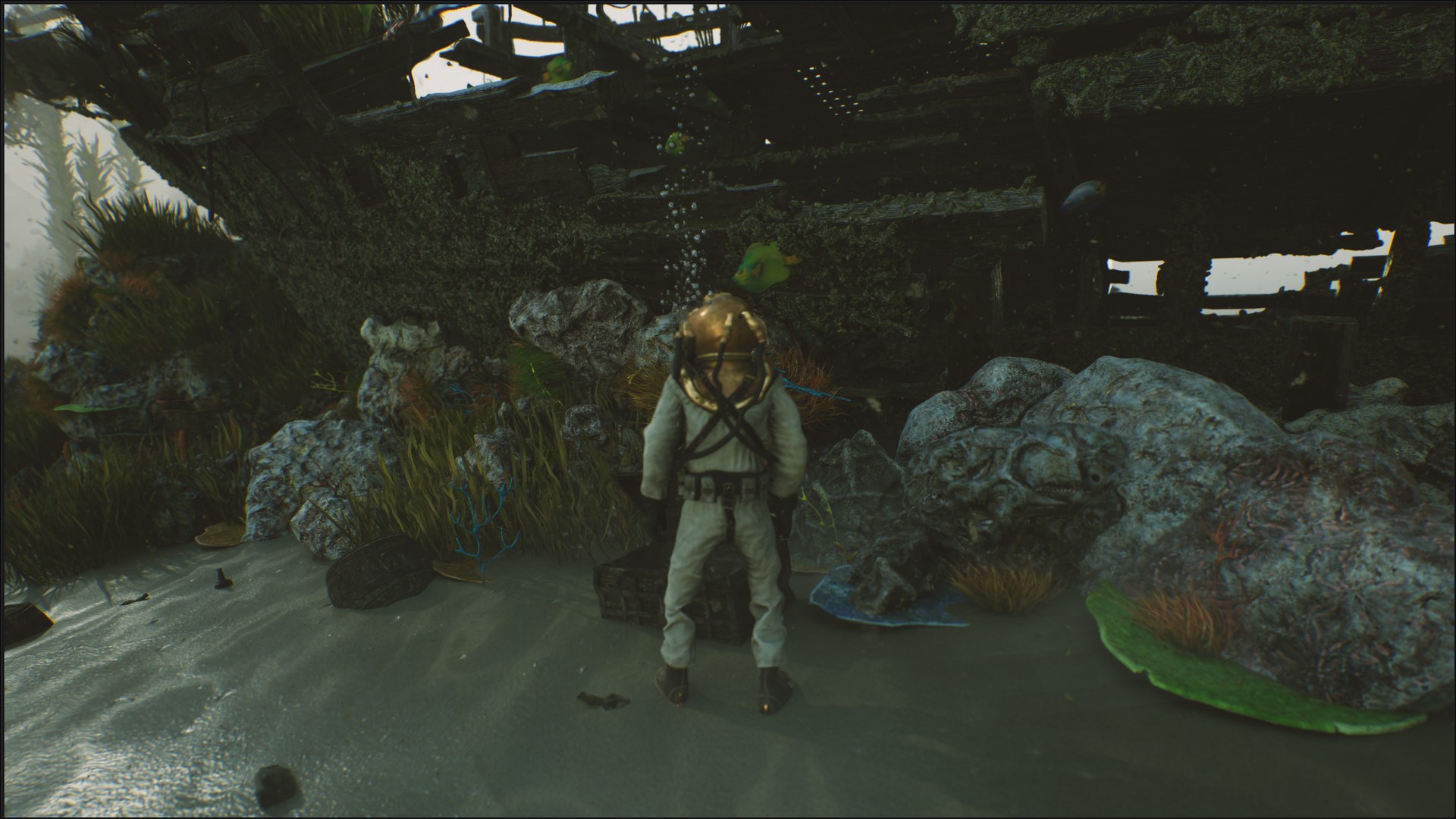 海底植物石头鱼类潜水员沉船场景3D模型UE设计素材 Bay Submerged Ships 样机素材 第24张-素材湾丨精选海外优质设计素材资源 海底植物石头鱼类潜水员沉船场景3D模型UE设计素材 Bay Submerged Ships 样机素材 sucaiwan.com