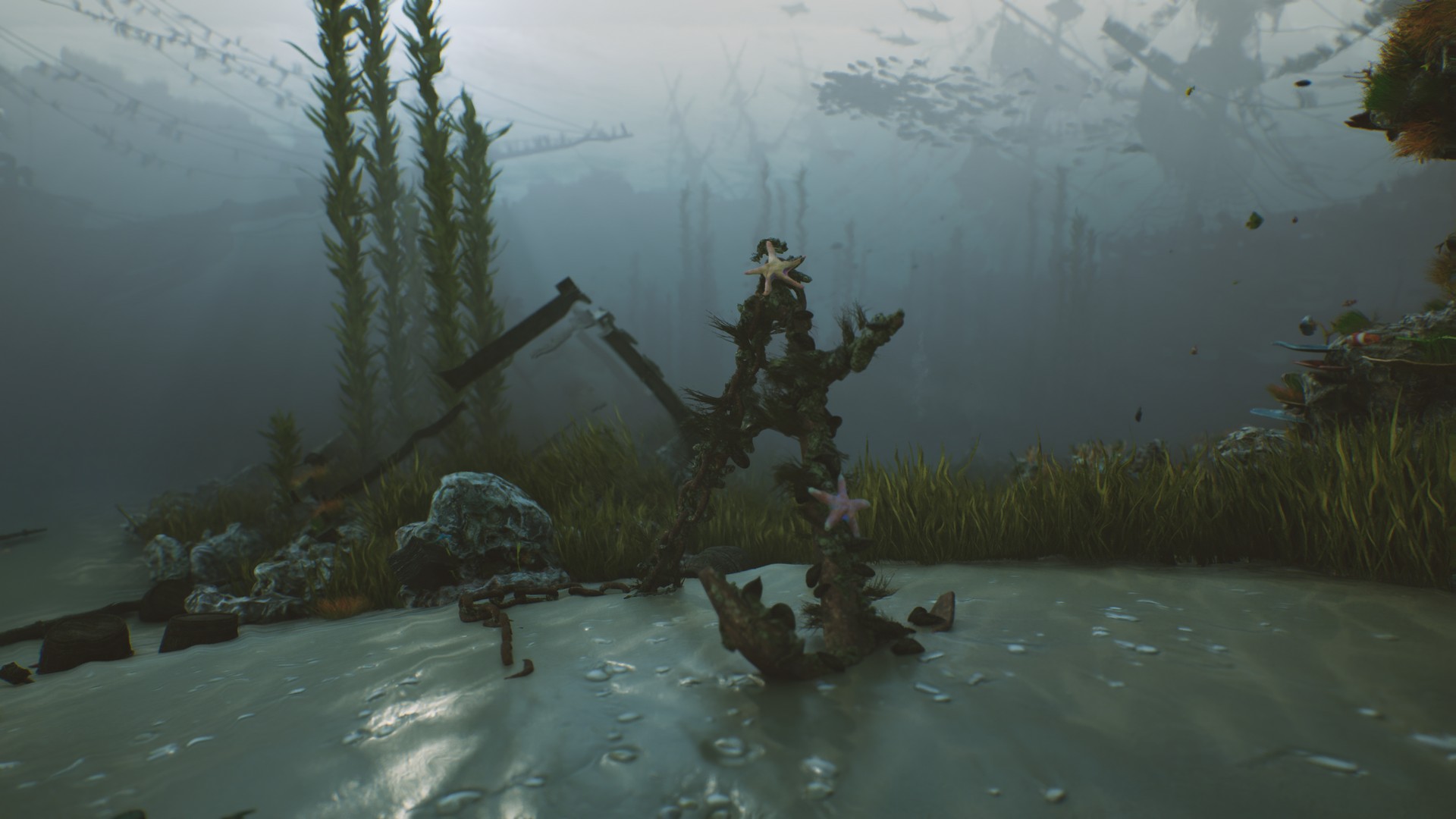 海底植物石头鱼类潜水员沉船场景3D模型UE设计素材 Bay Submerged Ships 样机素材 第25张-素材湾丨精选海外优质设计素材资源 海底植物石头鱼类潜水员沉船场景3D模型UE设计素材 Bay Submerged Ships 样机素材 sucaiwan.com