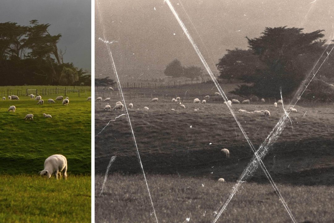 做旧划痕灰尘折痕纹理叠加人像图片修图PS特效滤镜插件样机模板 Old Folded Paper Photo Effect 插件预设 第2张-素材湾丨精选海外优质设计素材资源 做旧划痕灰尘折痕纹理叠加人像图片修图PS特效滤镜插件样机模板 Old Folded Paper Photo Effect 插件预设 sucaiwan.com