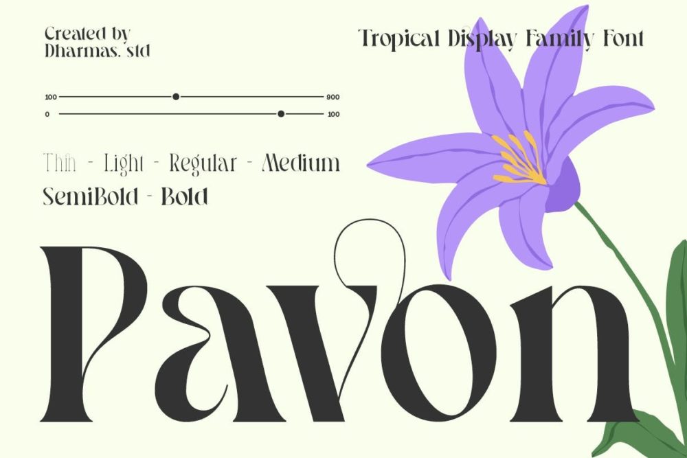 优雅复古品牌海报婚礼徽标设计衬线英文字体安装包 Pavon – Modern Luxury Font 设计素材 sucaiwan.com
