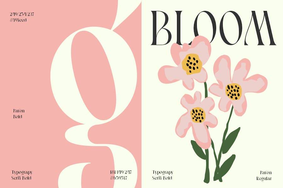 优雅复古品牌海报婚礼徽标设计衬线英文字体安装包 Pavon – Modern Luxury Font 设计素材 sucaiwan.com