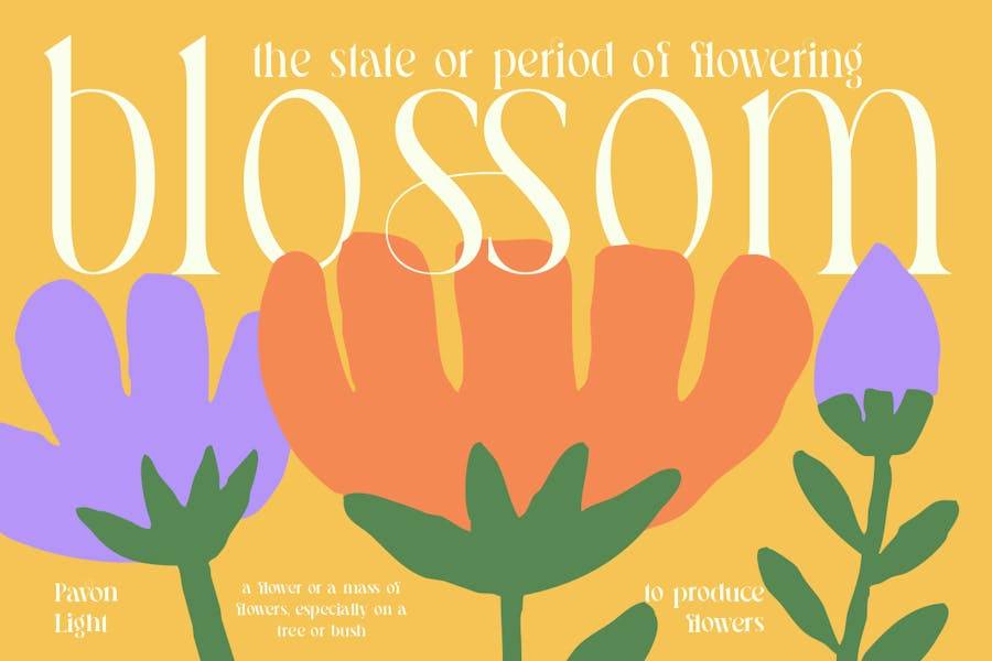 优雅复古品牌海报婚礼徽标设计衬线英文字体安装包 Pavon – Modern Luxury Font 设计素材 sucaiwan.com