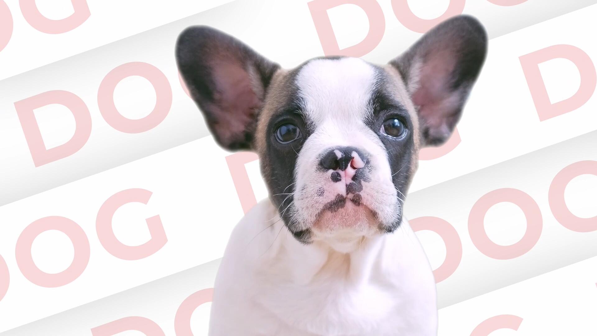 达芬奇预设：5个实用图像视频标题重复平铺滚动条背景动画效果 , sucaiwan.com