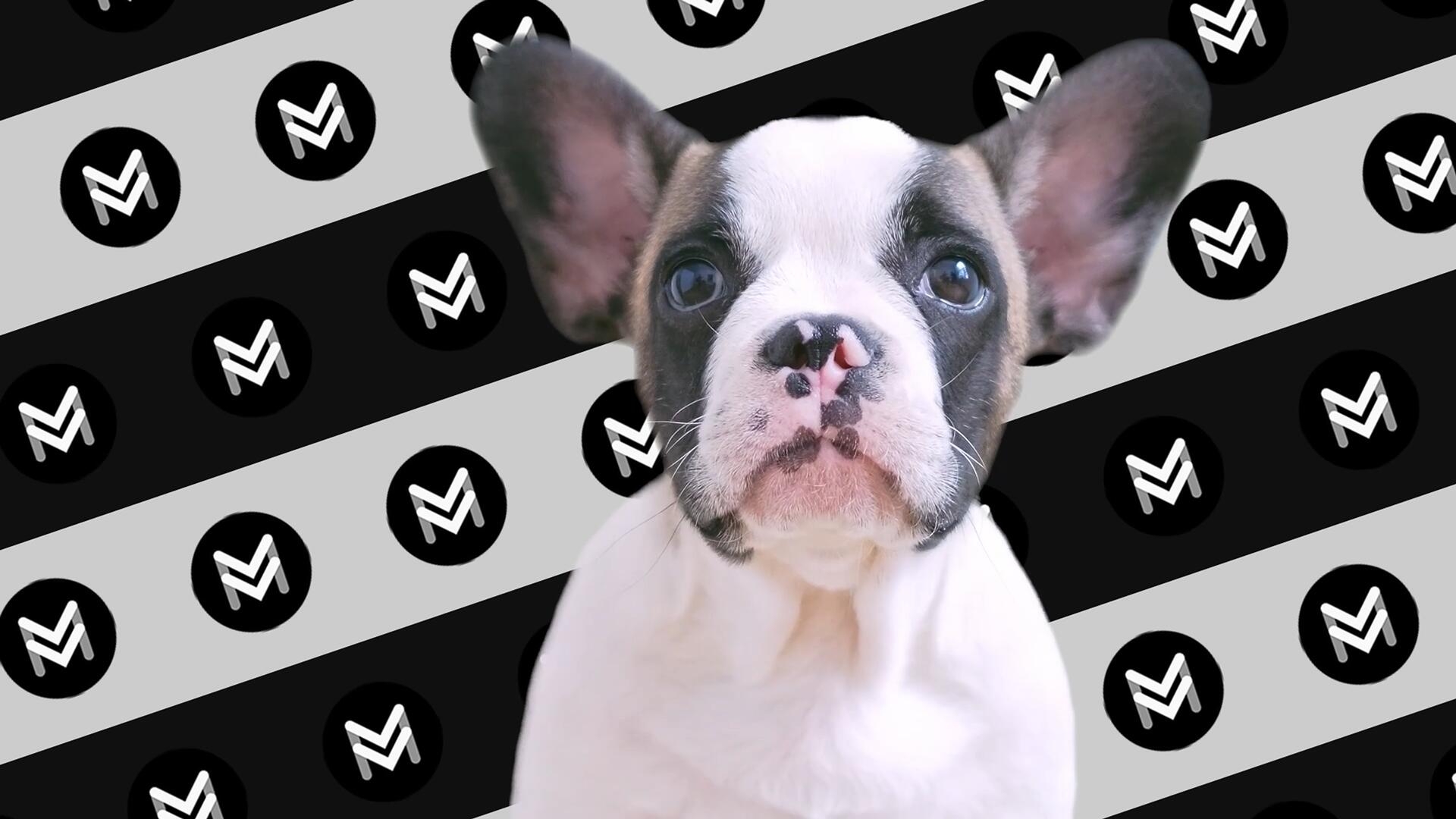 达芬奇预设：5个实用图像视频标题重复平铺滚动条背景动画效果 , sucaiwan.com