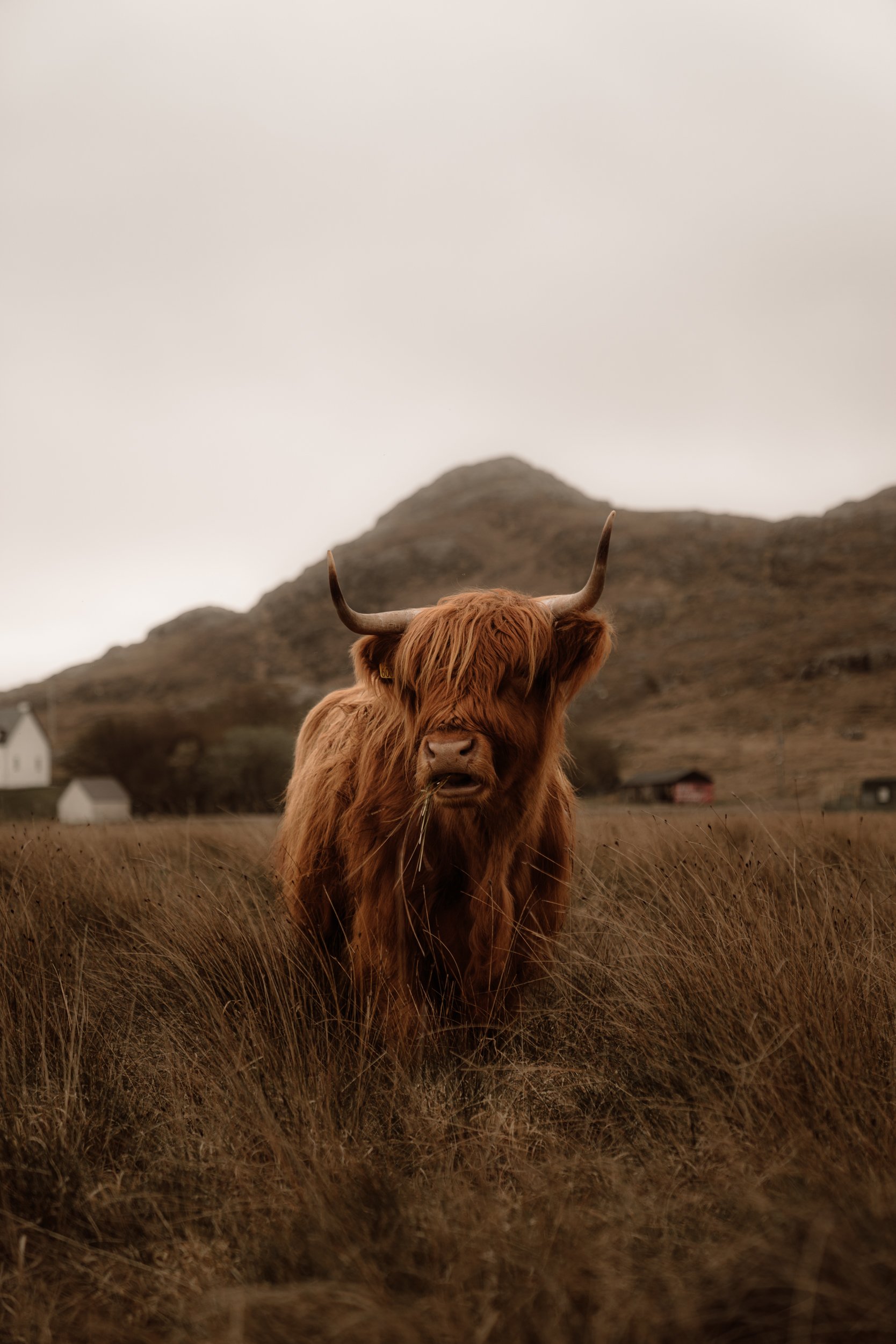 光与灰烬枫叶季暗调氛围电影感婚礼人文旅拍LR调色预设 Archipelago Presets Light & Ember 插件预设 第8张-素材湾丨精选海外优质设计素材资源 光与灰烬枫叶季暗调氛围电影感婚礼人文旅拍LR调色预设 Archipelago Presets Light & Ember 插件预设 sucaiwan.com