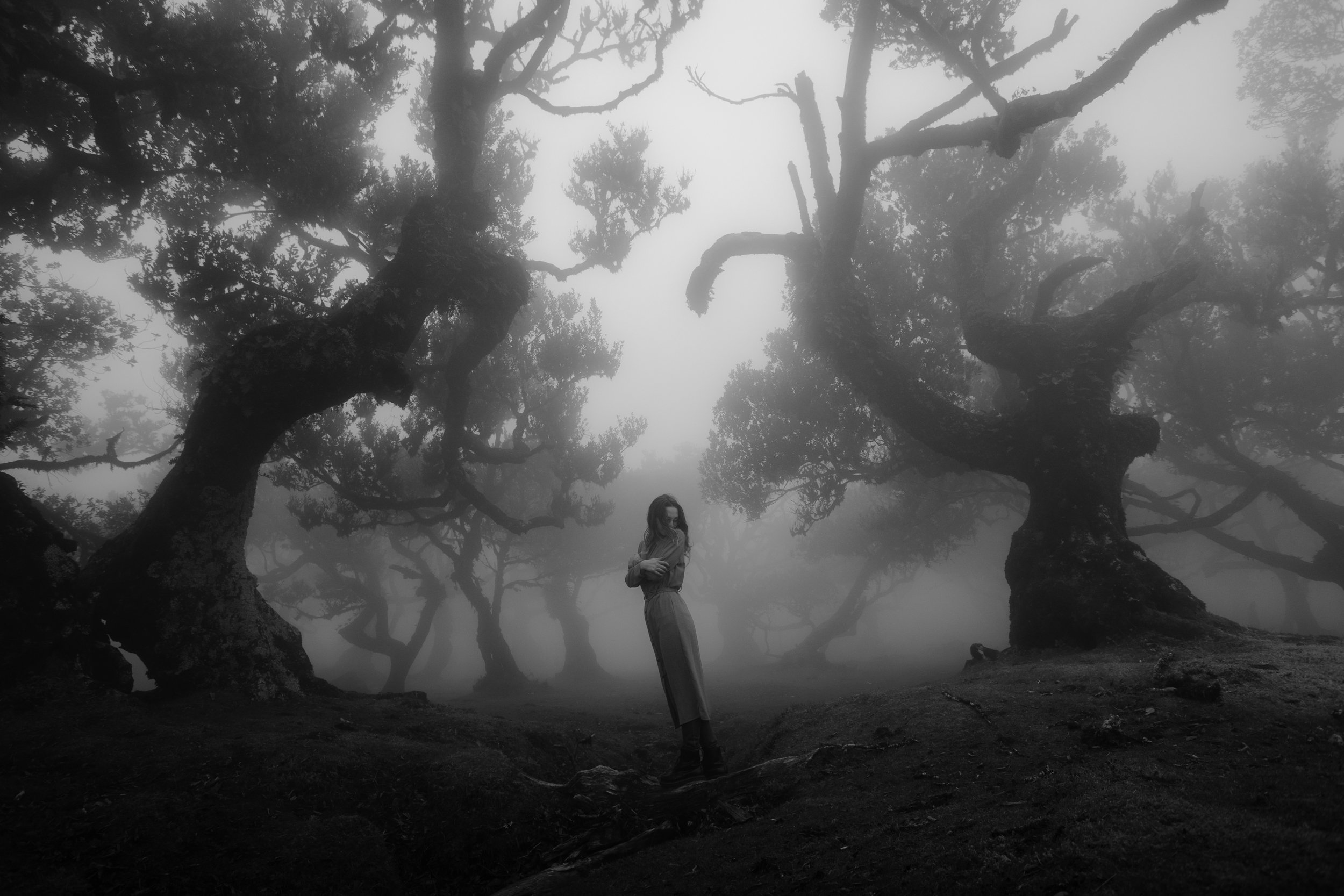 光与灰烬枫叶季暗调氛围电影感婚礼人文旅拍LR调色预设 Archipelago Presets Light & Ember 插件预设 第9张-素材湾丨精选海外优质设计素材资源 光与灰烬枫叶季暗调氛围电影感婚礼人文旅拍LR调色预设 Archipelago Presets Light & Ember 插件预设 sucaiwan.com