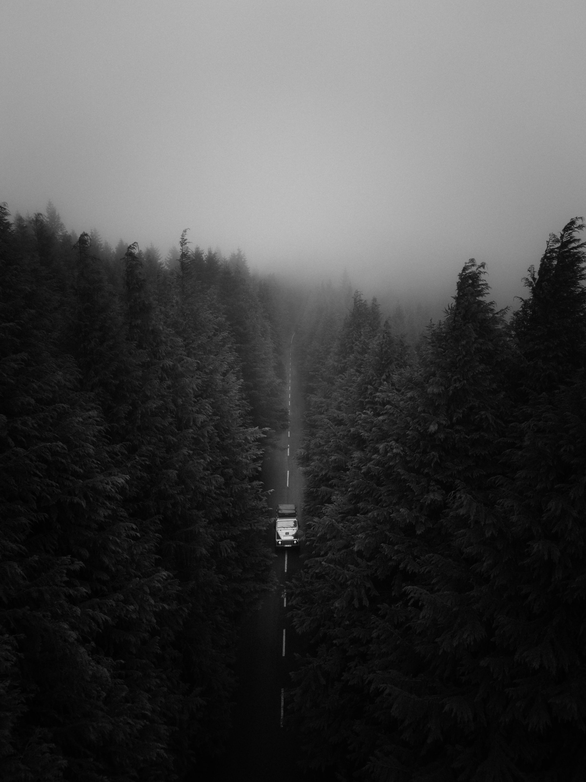 光与灰烬枫叶季暗调氛围电影感婚礼人文旅拍LR调色预设 Archipelago Presets Light & Ember 插件预设 第11张-素材湾丨精选海外优质设计素材资源 光与灰烬枫叶季暗调氛围电影感婚礼人文旅拍LR调色预设 Archipelago Presets Light & Ember 插件预设 sucaiwan.com