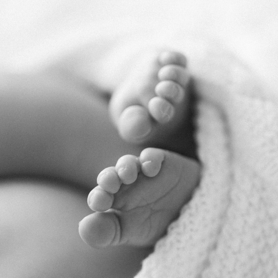 怀旧永恒电影美感柯达胶片模拟柔和温暖色调摄影肖像调色Lightroom预设 REFINED – Kodak Gold 插件预设 sucaiwan.com