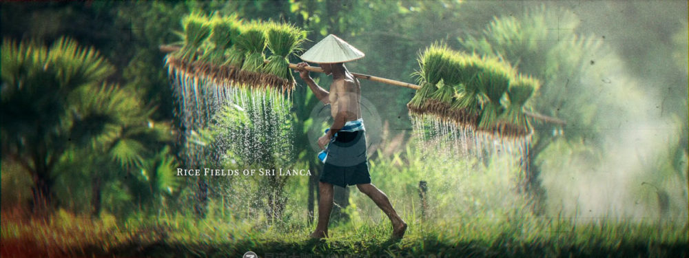 Fcpx插件 72组电影美学叙事冻结帧叠加时间线字体排版转场特效包 MotionVFX – mDocumentary For FCPX , 第2张-素材湾丨精选海外优质设计素材资源 Fcpx插件 72组电影美学叙事冻结帧叠加时间线字体排版转场特效包 MotionVFX – mDocumentary For FCPX , sucaiwan.com