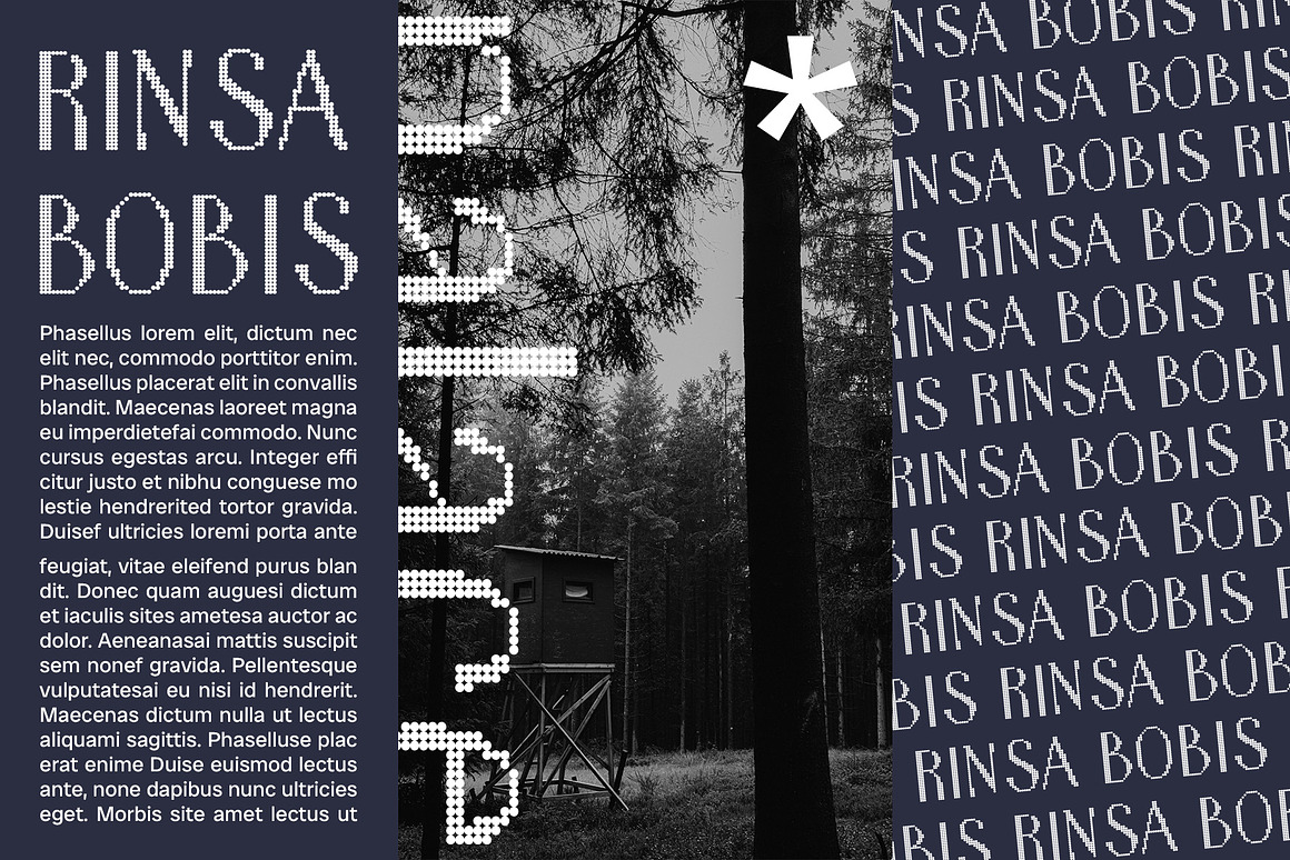 现代时尚品牌海报徽标设计无衬线英文字体安装包 Ansela Disco 设计素材 第4张-素材湾丨精选海外优质设计素材资源 现代时尚品牌海报徽标设计无衬线英文字体安装包 Ansela Disco 设计素材 sucaiwan.com