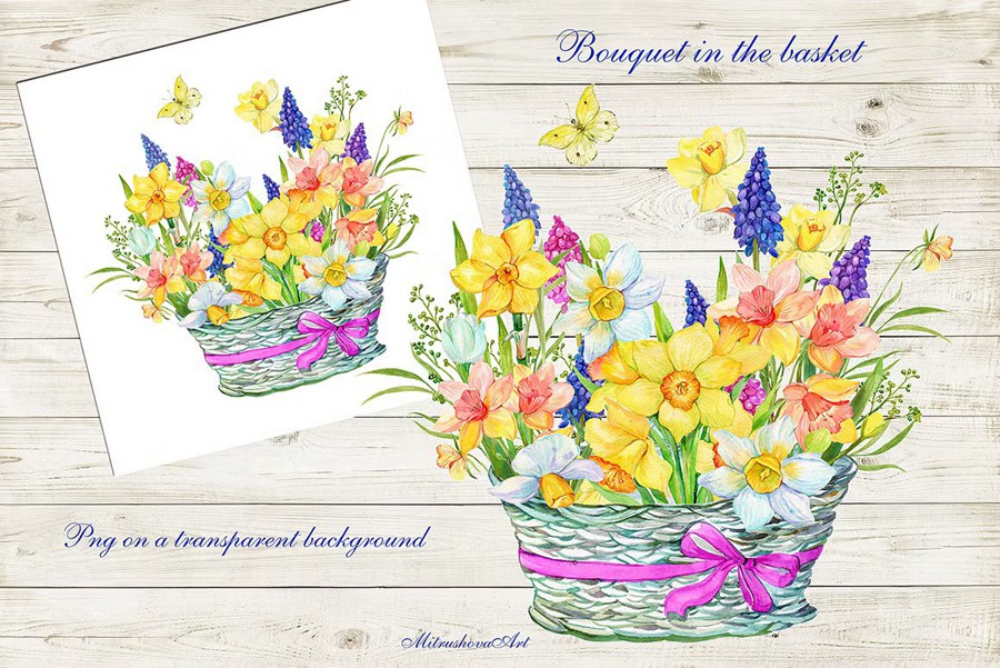 Daffodil Narcissus Watercolour 34个复古精美水仙花卉剪贴画免扣PNG 图片素材 sucaiwan.com