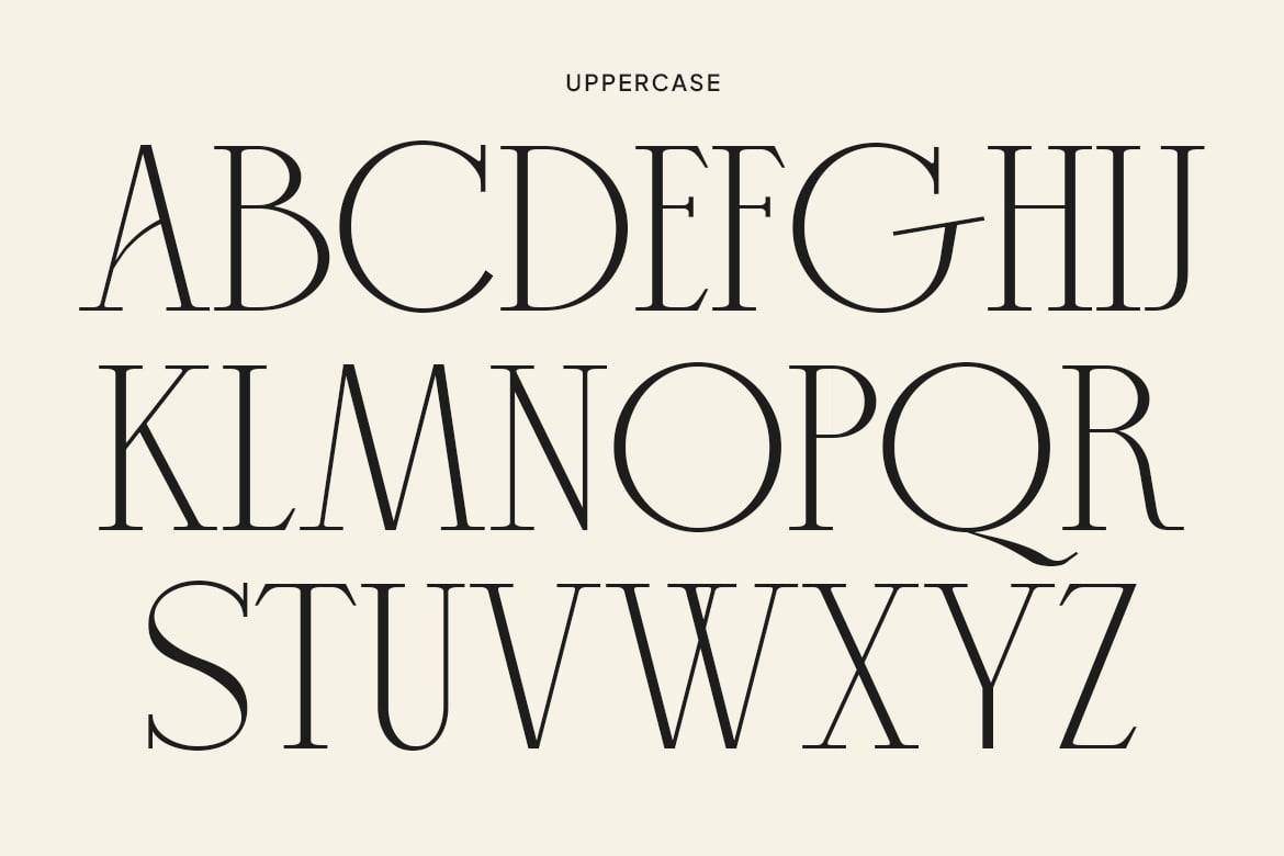时尚优雅品牌婚礼徽标设计衬线英文字体安装包 Mikaelo – Elegant Serif Typeface 设计素材 第3张-素材湾丨精选海外优质设计素材资源 时尚优雅品牌婚礼徽标设计衬线英文字体安装包 Mikaelo – Elegant Serif Typeface 设计素材 sucaiwan.com