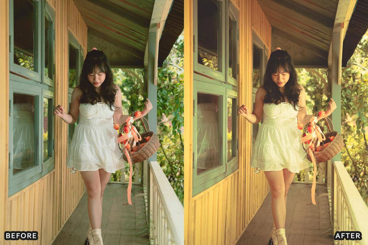 户外风景野生动物电影摄影照片调色Lightroom预设 Bird Photography Wildlife Lightroom Presets 插件预设 sucaiwan.com