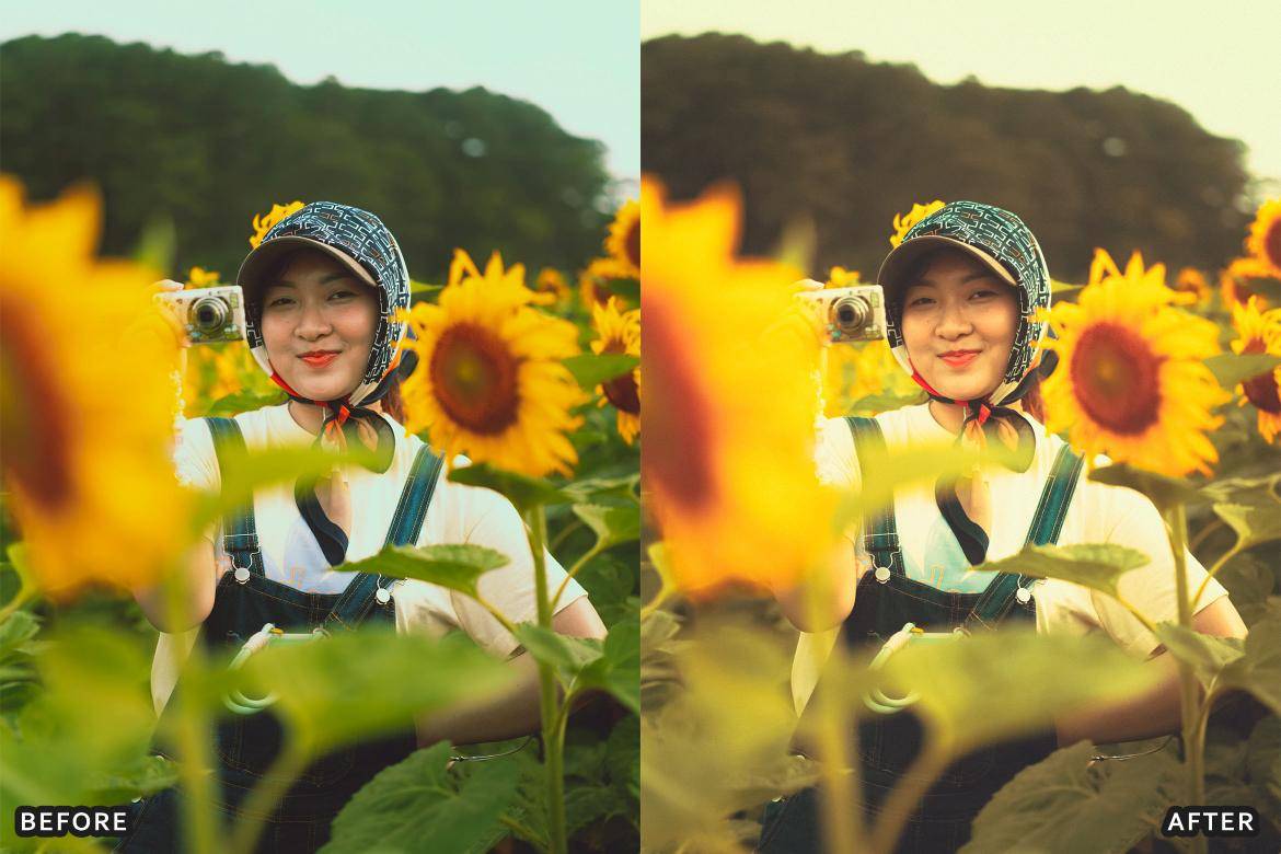 户外风景野生动物电影摄影照片调色Lightroom预设 Bird Photography Wildlife Lightroom Presets 插件预设 sucaiwan.com