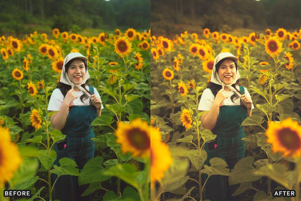 户外风景野生动物电影摄影照片调色Lightroom预设 Bird Photography Wildlife Lightroom Presets 插件预设 sucaiwan.com