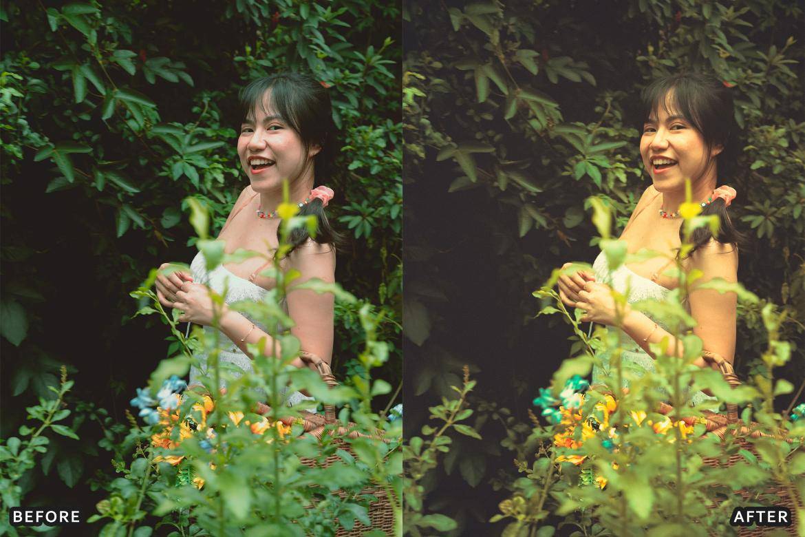 户外风景野生动物电影摄影照片调色Lightroom预设 Bird Photography Wildlife Lightroom Presets 插件预设 sucaiwan.com