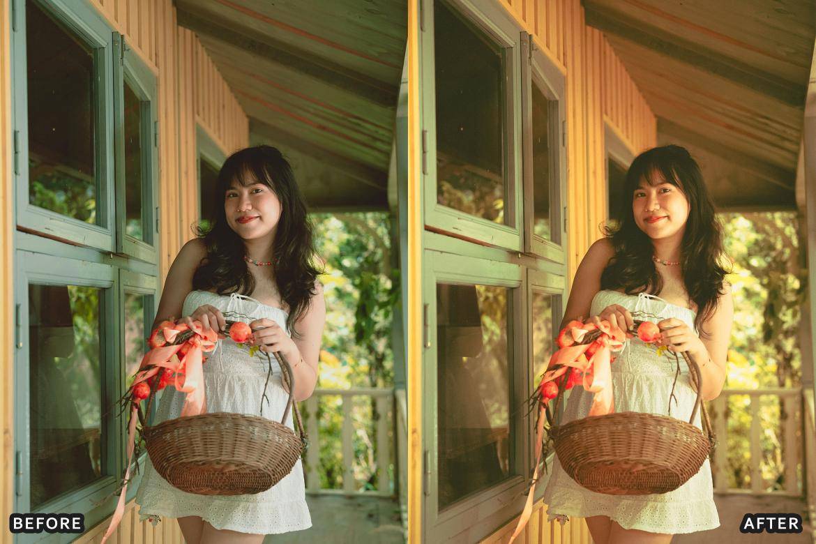 户外风景野生动物电影摄影照片调色Lightroom预设 Bird Photography Wildlife Lightroom Presets 插件预设 sucaiwan.com