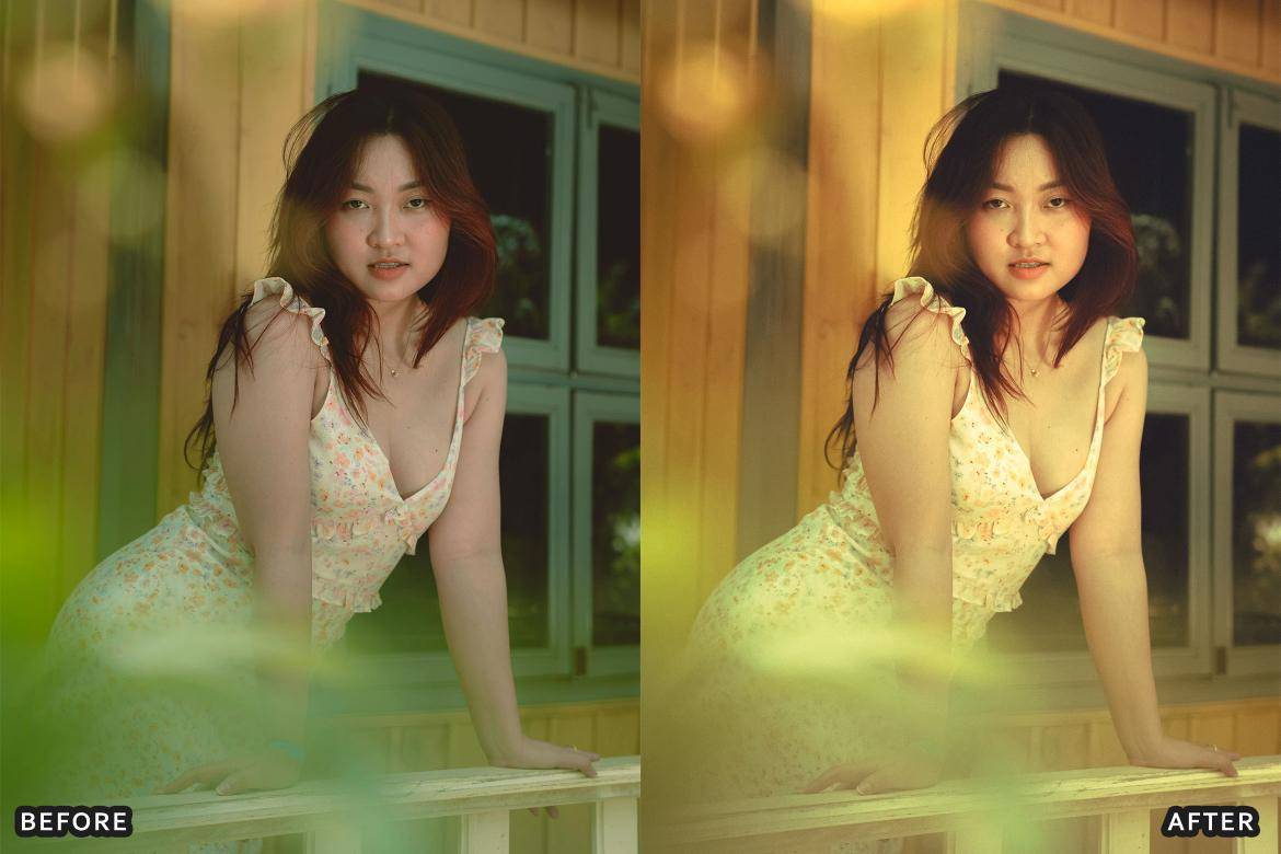 户外风景野生动物电影摄影照片调色Lightroom预设 Bird Photography Wildlife Lightroom Presets 插件预设 sucaiwan.com