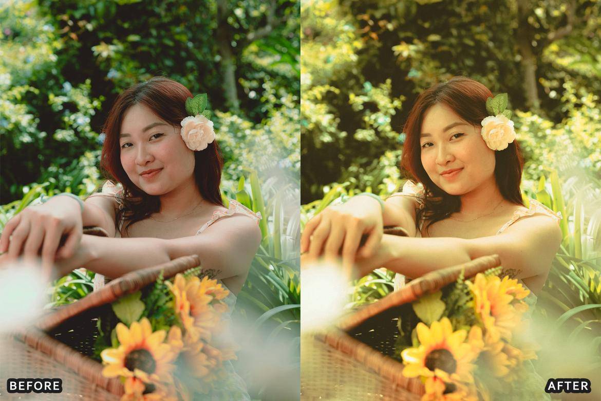 户外风景野生动物电影摄影照片调色Lightroom预设 Bird Photography Wildlife Lightroom Presets 插件预设 sucaiwan.com