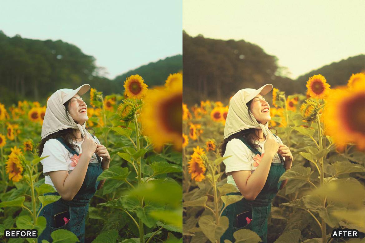 户外风景野生动物电影摄影照片调色Lightroom预设 Bird Photography Wildlife Lightroom Presets 插件预设 sucaiwan.com