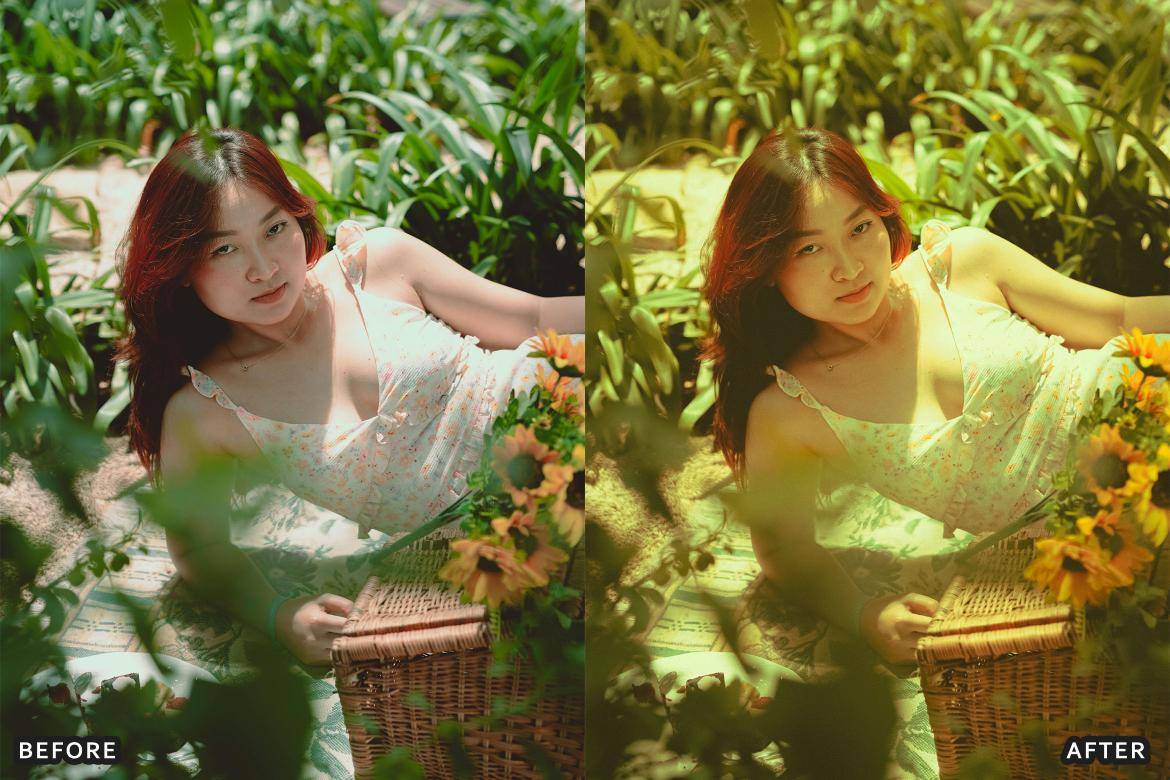 户外风景野生动物电影摄影照片调色Lightroom预设 Bird Photography Wildlife Lightroom Presets 插件预设 sucaiwan.com