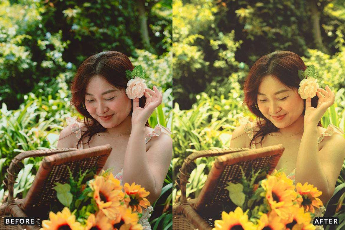 户外风景野生动物电影摄影照片调色Lightroom预设 Bird Photography Wildlife Lightroom Presets 插件预设 sucaiwan.com