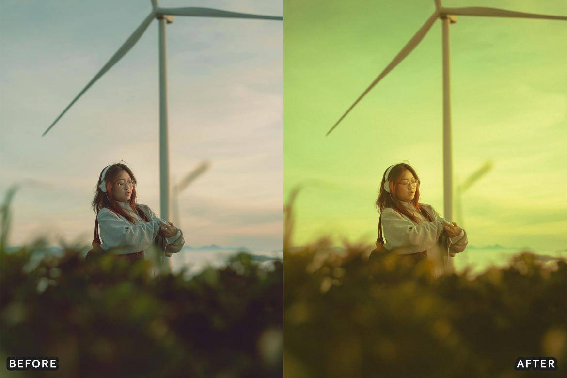 户外风景野生动物电影摄影照片调色Lightroom预设 Bird Photography Wildlife Lightroom Presets 插件预设 sucaiwan.com