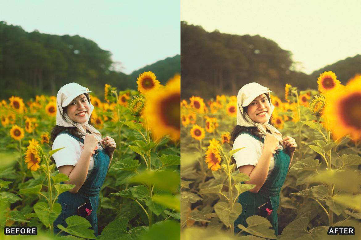 户外风景野生动物电影摄影照片调色Lightroom预设 Bird Photography Wildlife Lightroom Presets 插件预设 sucaiwan.com