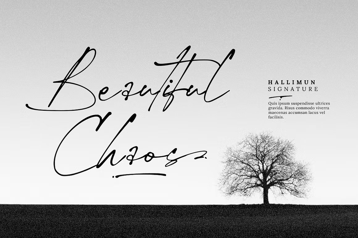 复古时尚品牌项目徽标婚礼广告产品包装摄影签名手写字体 Hallimun Signature Casual Script 设计素材 sucaiwan.com