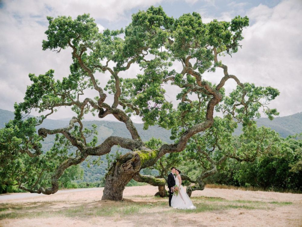电影外观柯达Portra 160胶片模拟橙色色调婚礼旅行照片调色Lightroom预设 The Archetype Process – The Yellow Pack III 插件预设 第6张-素材湾丨精选海外优质设计素材资源 电影外观柯达Portra 160胶片模拟橙色色调婚礼旅行照片调色Lightroom预设 The Archetype Process – The Yellow Pack III 插件预设 sucaiwan.com