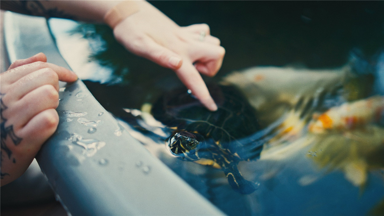 复古胶片仿真模拟电影感达芬奇调色节点 Davinci Resolve Film Powergrade 插件预设 第6张-素材湾丨精选海外优质设计素材资源 复古胶片仿真模拟电影感达芬奇调色节点 Davinci Resolve Film Powergrade 插件预设 sucaiwan.com