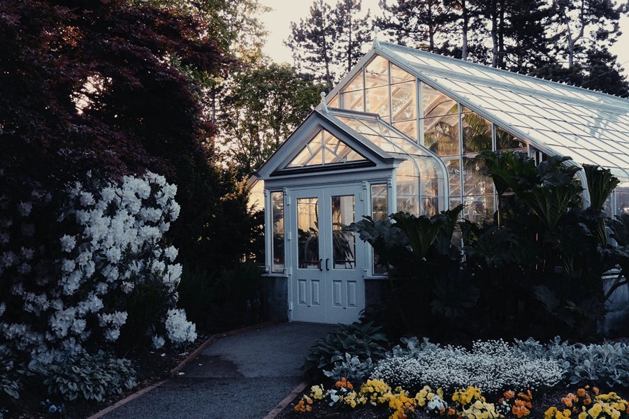 Analogica Lab 复古柯达200T 35MM胶片模拟影视后期调色LUT Analogica Lab - KODAK VISION3 200T Lut 插件预设 sucaiwan.com