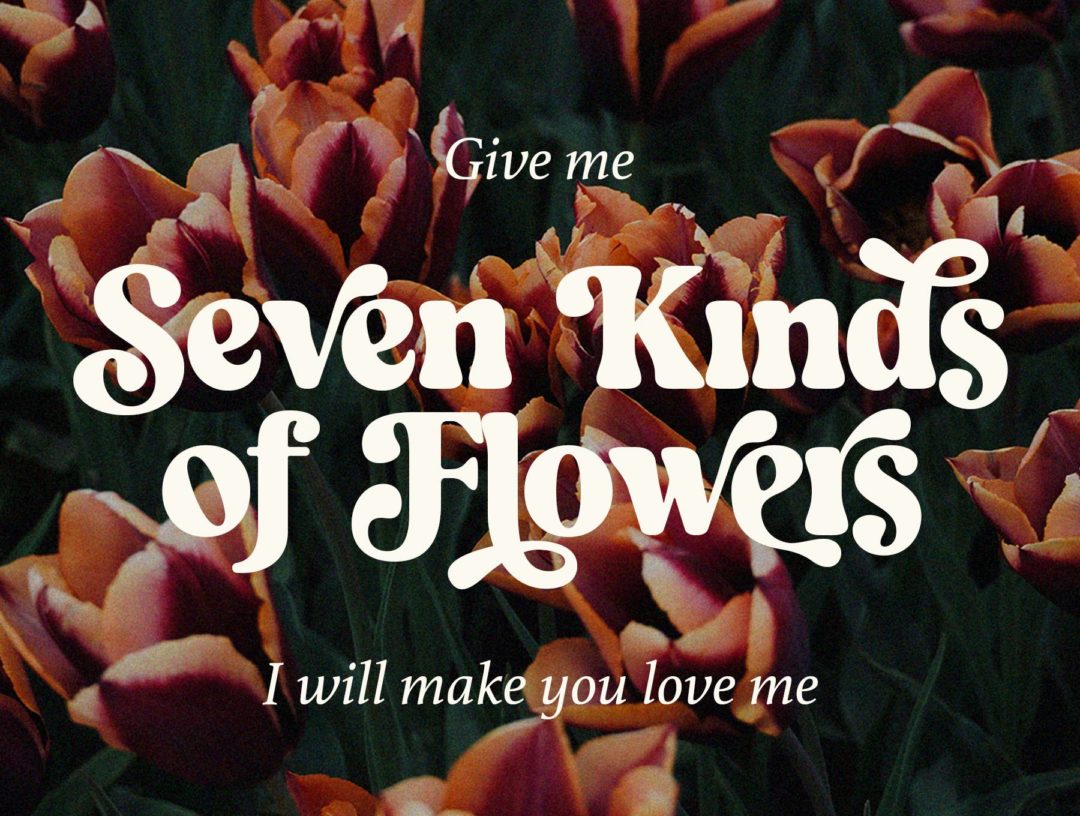 复古圆润海报标题品牌LOGO字体设计粗体衬线英文字体设计素材 Branger Font 设计素材 第2张-素材湾丨精选海外优质设计素材资源 复古圆润海报标题品牌LOGO字体设计粗体衬线英文字体设计素材 Branger Font 设计素材 sucaiwan.com