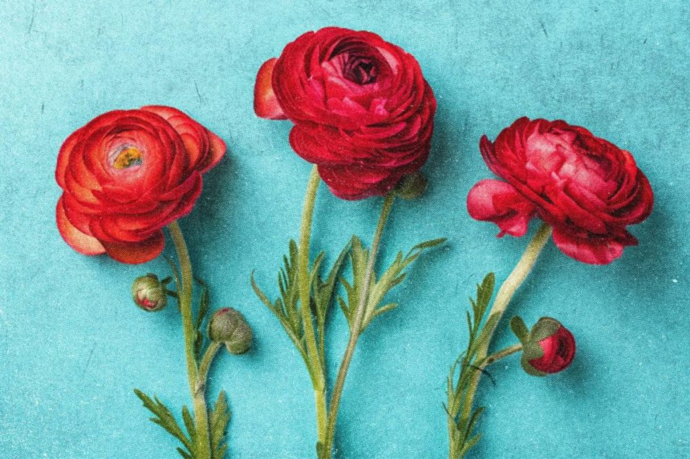 复古做旧粗糙噪点老式照片划痕效果PS修图特效滤镜插件样机模板 Vintage Noise Print Photo Effect 插件预设 第6张-素材湾丨精选海外优质设计素材资源 复古做旧粗糙噪点老式照片划痕效果PS修图特效滤镜插件样机模板 Vintage Noise Print Photo Effect 插件预设 sucaiwan.com