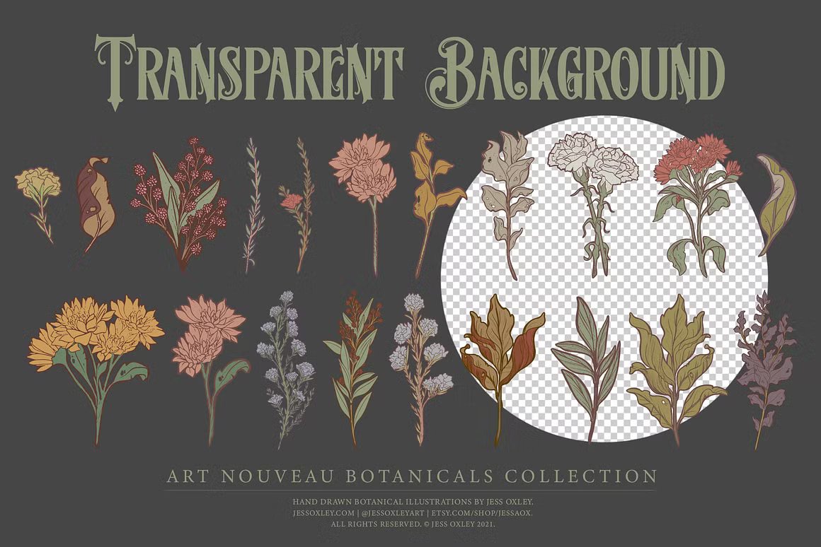 AI矢量/PNG新艺术植物系列剪贴画插图套装婚礼请柬/贺卡/贴纸/无缝织物图案 Art Nouveau Botanicals Clipart Set 图片素材 第9张-素材湾丨精选海外优质设计素材资源 AI矢量/PNG新艺术植物系列剪贴画插图套装婚礼请柬/贺卡/贴纸/无缝织物图案 Art Nouveau Botanicals Clipart Set 图片素材 sucaiwan.com