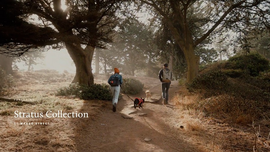 Gamut - Stratus LUTS 6个自然喜怒无常温暖婚礼人像棕褐色铜色调色LUT 插件预设 第2张-素材湾丨精选海外优质设计素材资源 Gamut - Stratus LUTS 6个自然喜怒无常温暖婚礼人像棕褐色铜色调色LUT 插件预设 sucaiwan.com