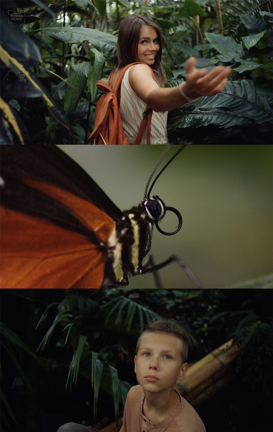 油管大神高级电影感BMPCC 4k/6k风格化胶片滤镜lut调色预设 Roman Hense LUTs Pack-22 BMPCC 4K/6k FILM BRAW , sucaiwan.com