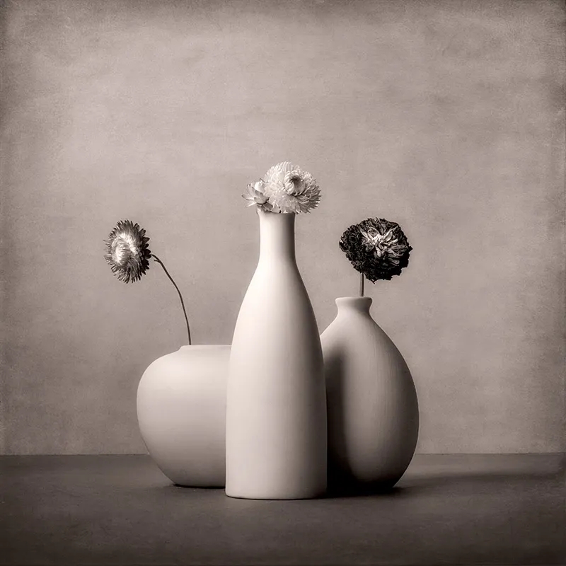 大师课程：静物摄影的构图照明技能创意大师班 Magic of Light. Still Life Masterclass 2 (2024) , sucaiwan.com