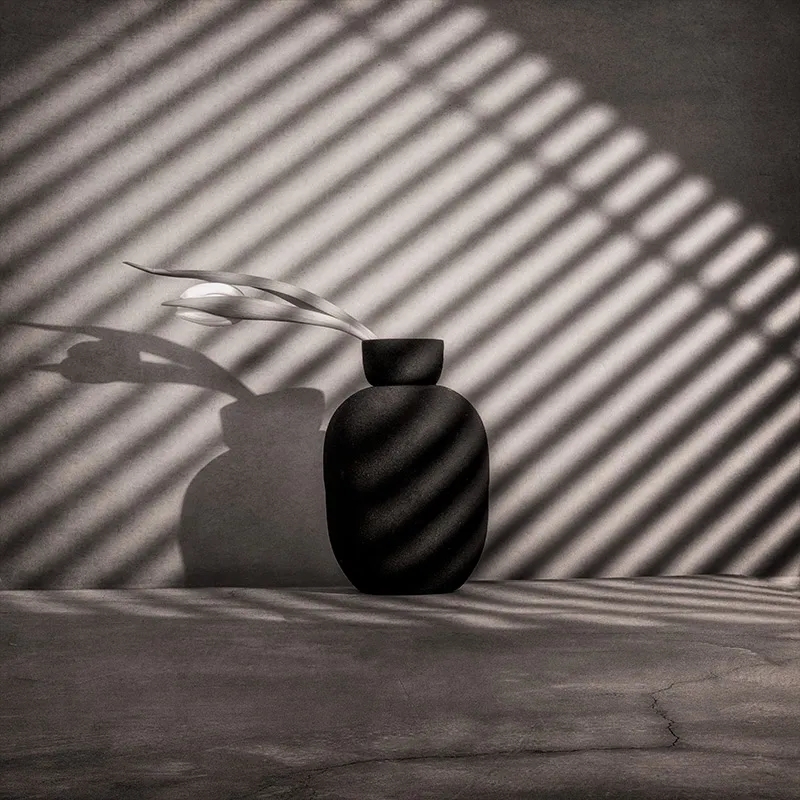 大师课程：静物摄影的构图照明技能创意大师班 Magic of Light. Still Life Masterclass 2 (2024) , sucaiwan.com