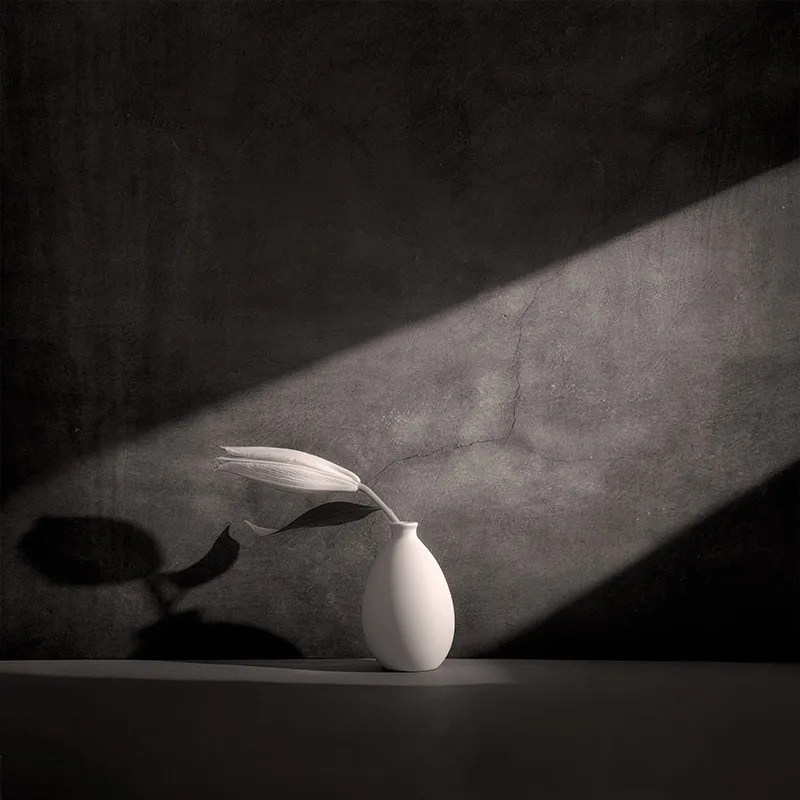 大师课程：静物摄影的构图照明技能创意大师班 Magic of Light. Still Life Masterclass 2 (2024) , sucaiwan.com