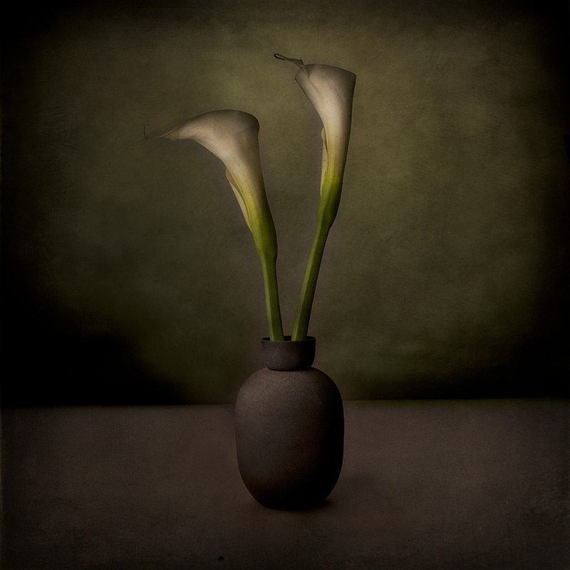 大师课程：静物摄影的构图照明技能创意大师班 Magic of Light. Still Life Masterclass 2 (2024) , sucaiwan.com