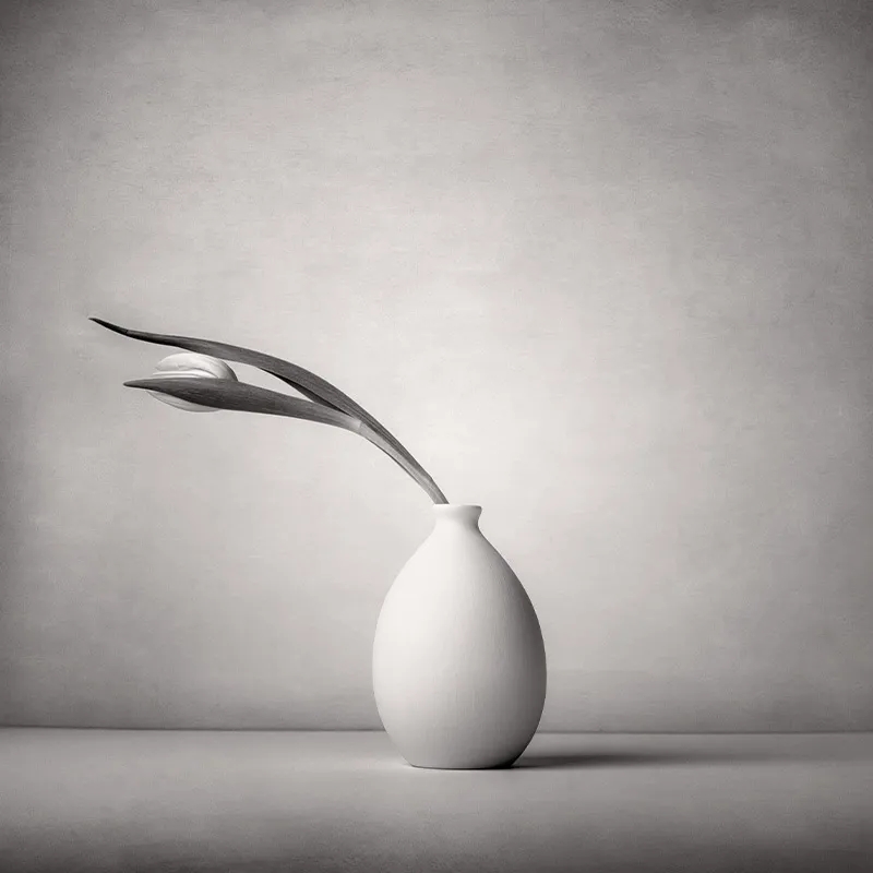 大师课程：静物摄影的构图照明技能创意大师班 Magic of Light. Still Life Masterclass 2 (2024) , sucaiwan.com