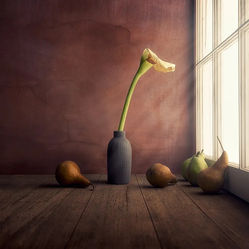 大师课程：静物摄影的构图照明技能创意大师班 Magic of Light. Still Life Masterclass 2 (2024) , sucaiwan.com