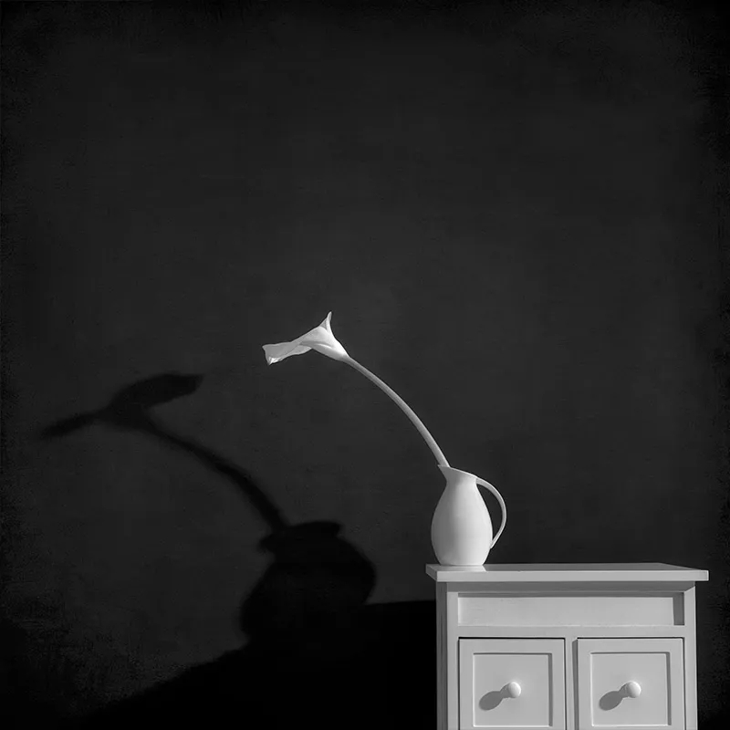 大师课程：静物摄影的构图照明技能创意大师班 Magic of Light. Still Life Masterclass 2 (2024) , sucaiwan.com